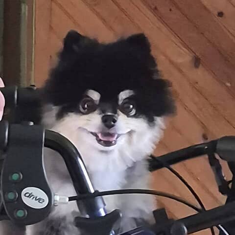 Kali