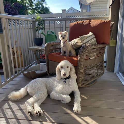 Rossie and Copper