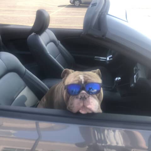 Trappy potatoe