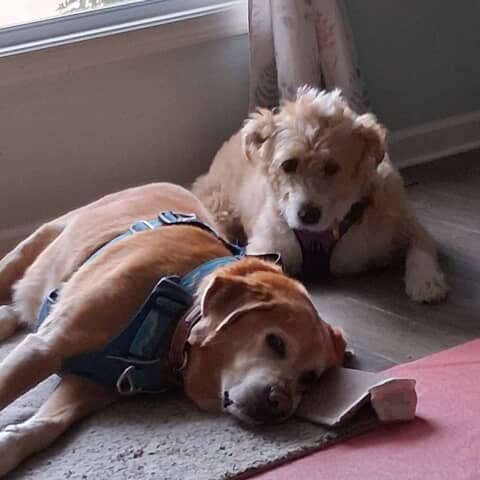 Xavier and Cali