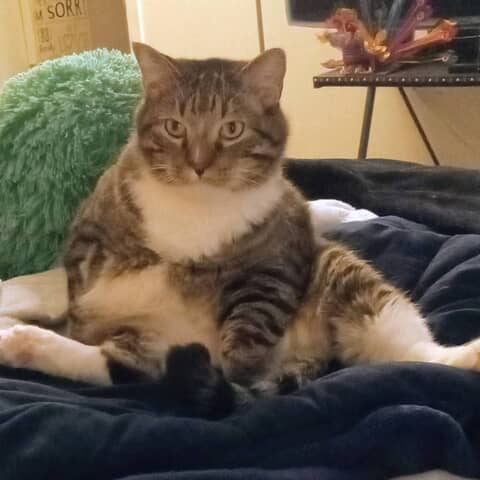 Thomas