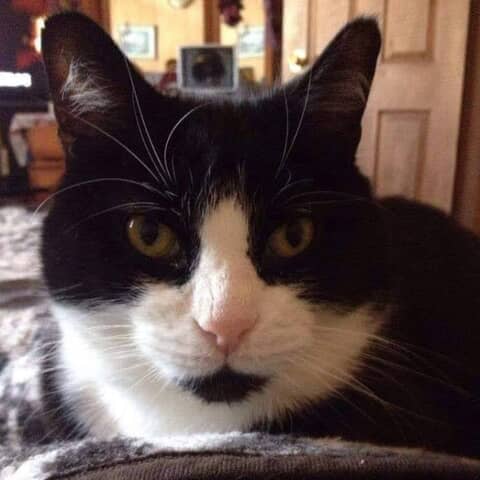 Sam