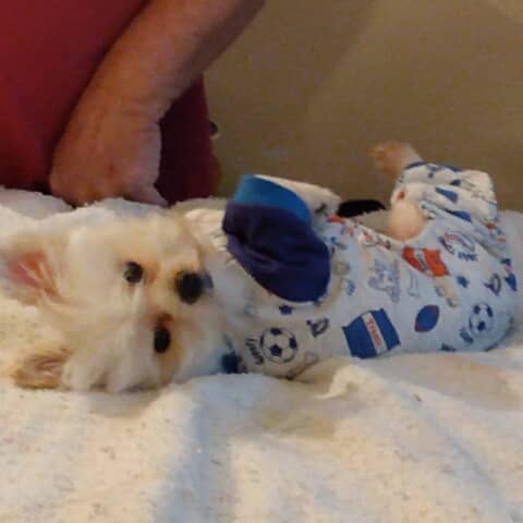 Theadorable aka Teddy