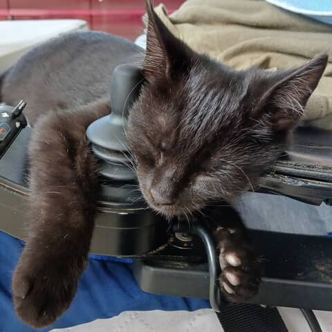 Soot