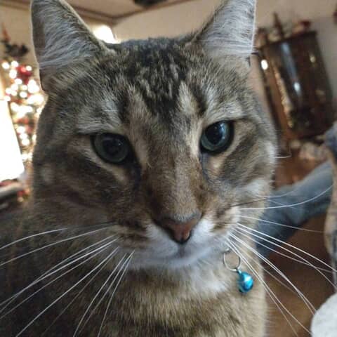 Jasper