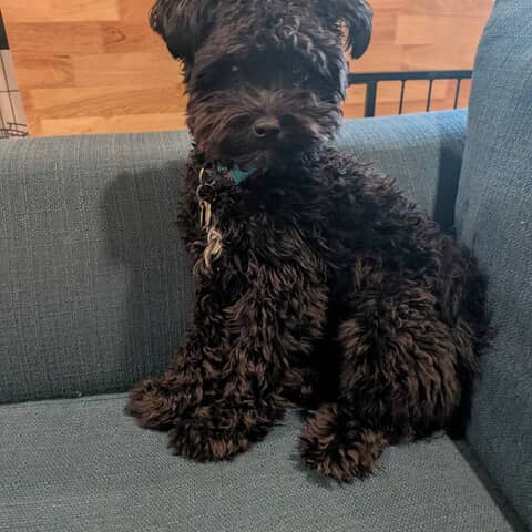 Milo
