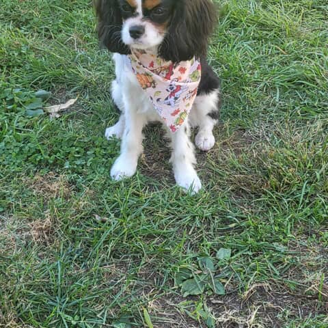 Molly