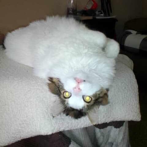 Lucy Lou