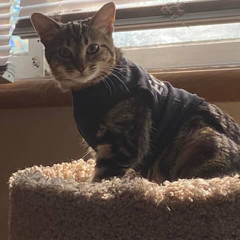 Missy