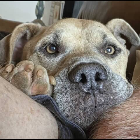 Max