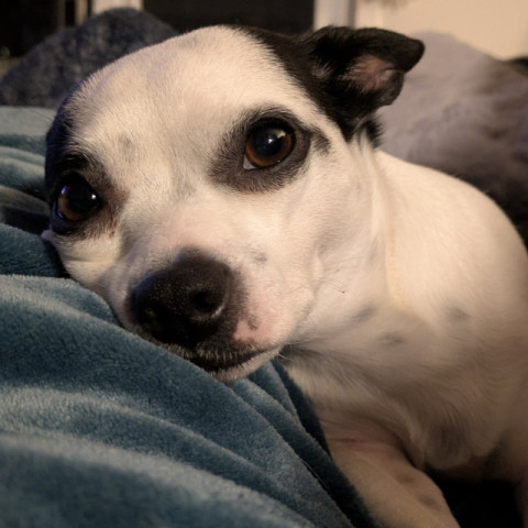 Coco