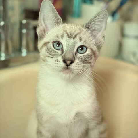 Max