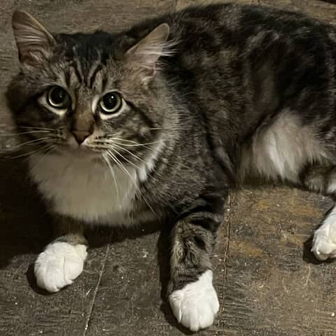 Jack