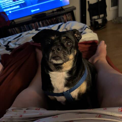 George