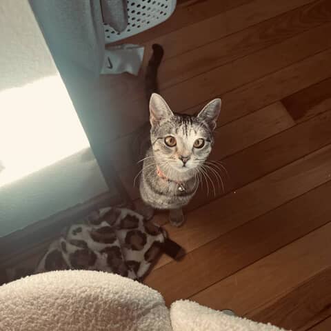 Coco
