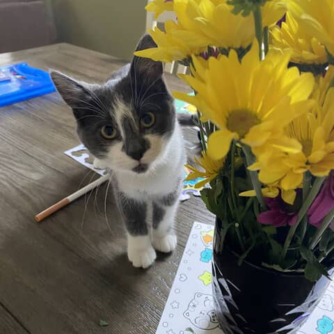 Luna