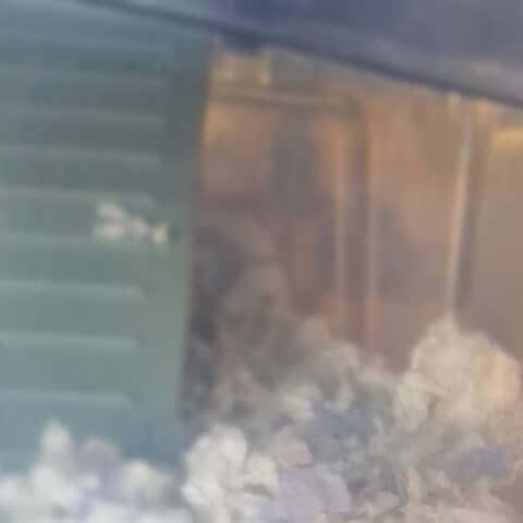 Huckle