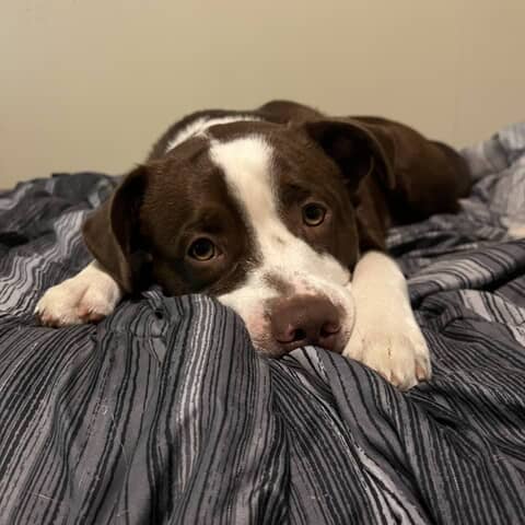 Charlie