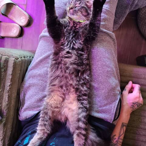 Tigger