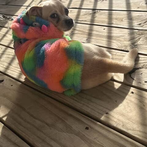 Luna