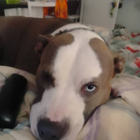Lucy