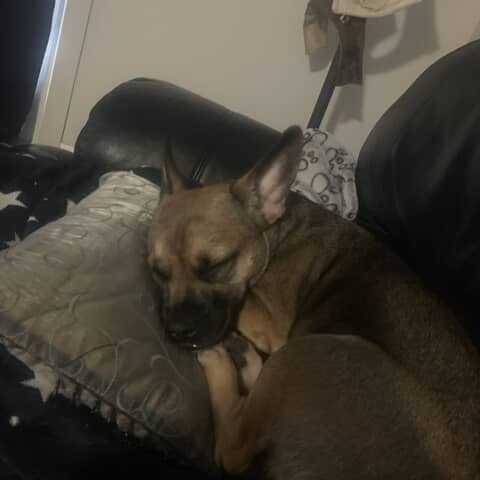 Chloe