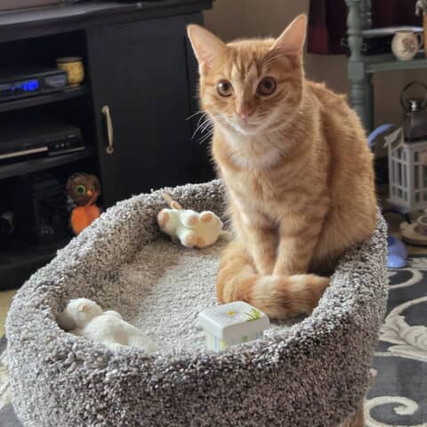 Leo