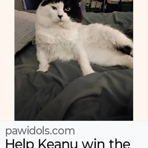 Keanu
