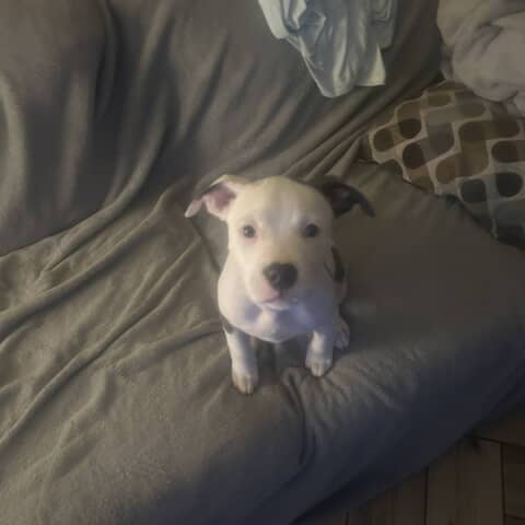 Ellie Mae