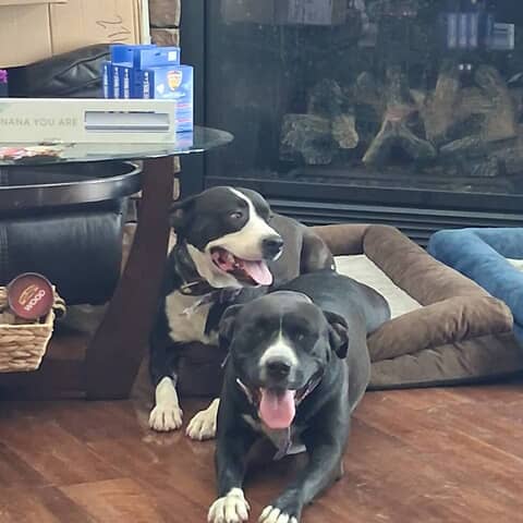 Lillie and jossie
