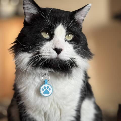 Leo