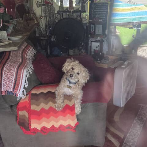 Peanut