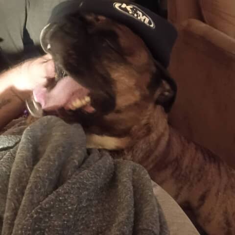 Zeus