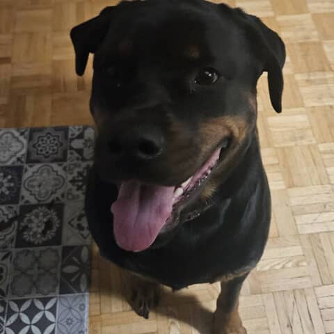 Roxie