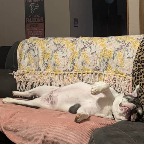 Winston