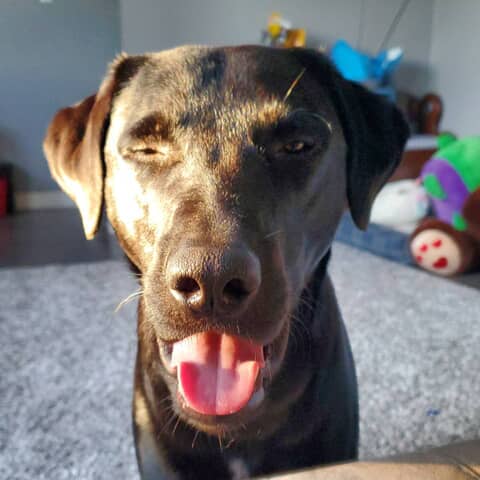 Diesel