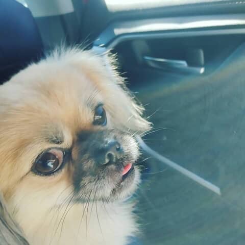 Marshall