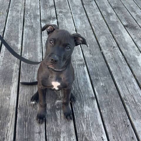 Kilo