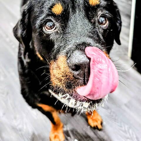 Kona