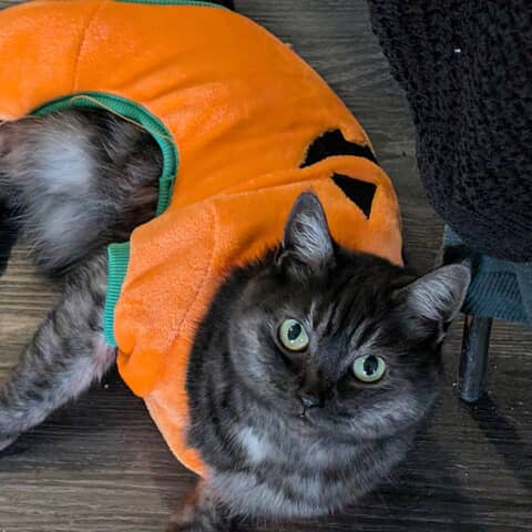 Myla
