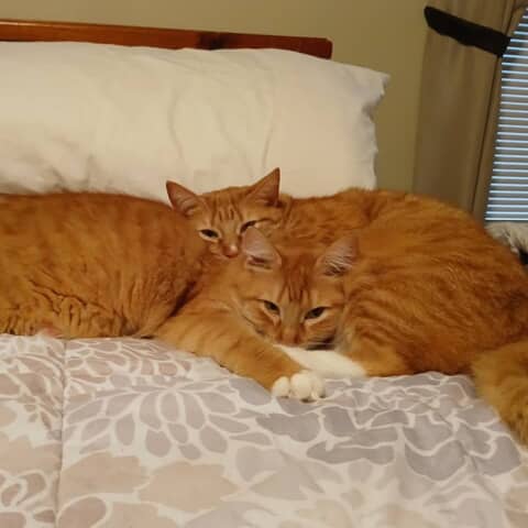 Ginger and Lucy