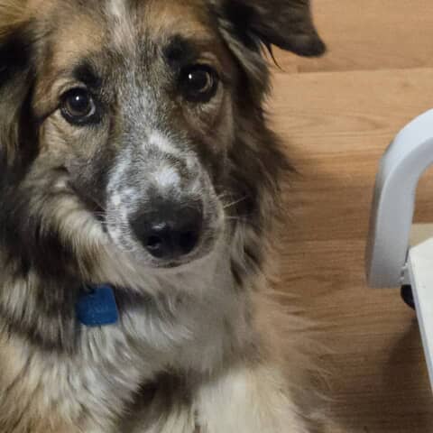 Maggie