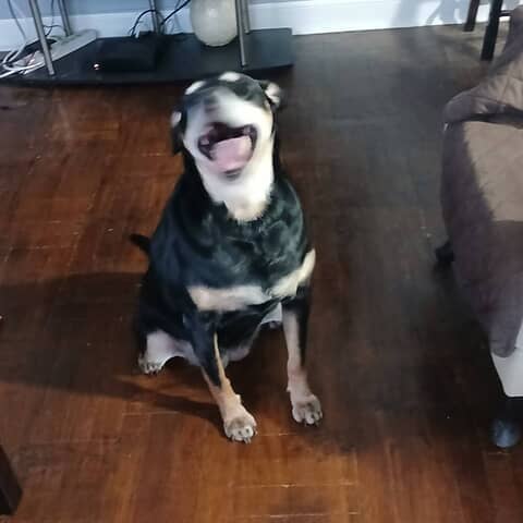 Xena
