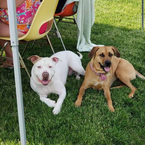 Gizmo and Lily