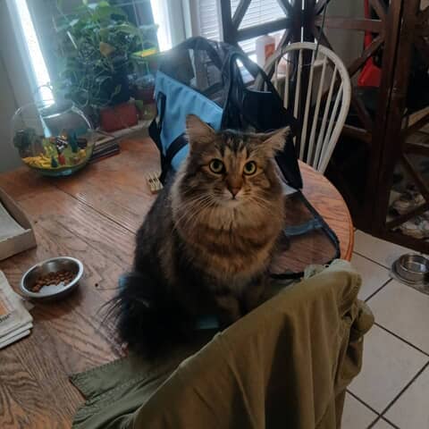 Tiggz