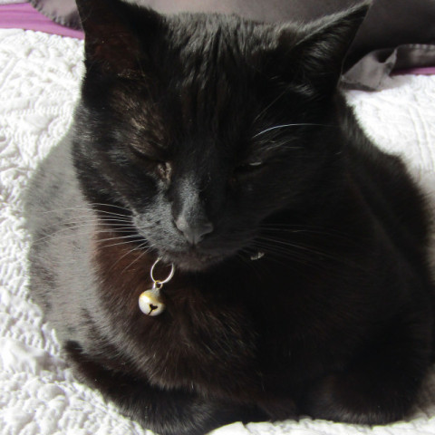 Lili