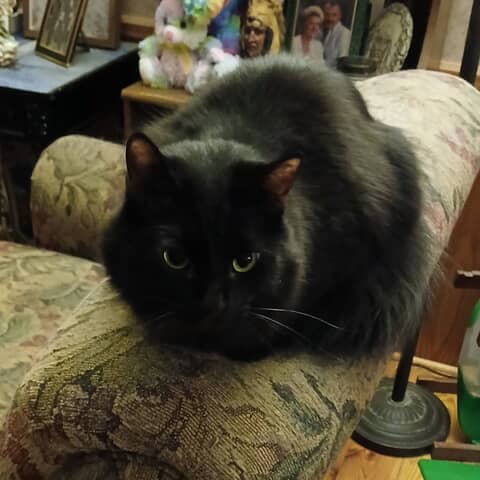 Charlie