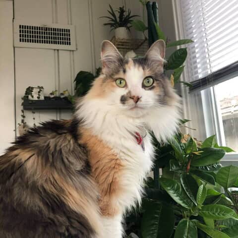 Winnie