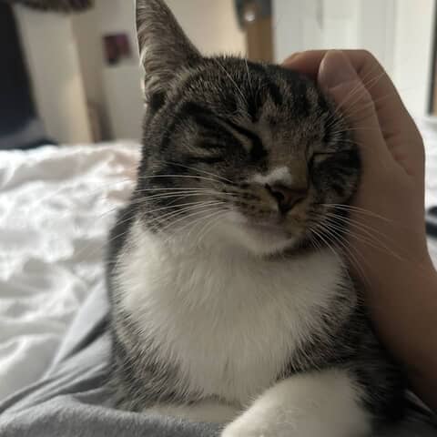 Rosie
