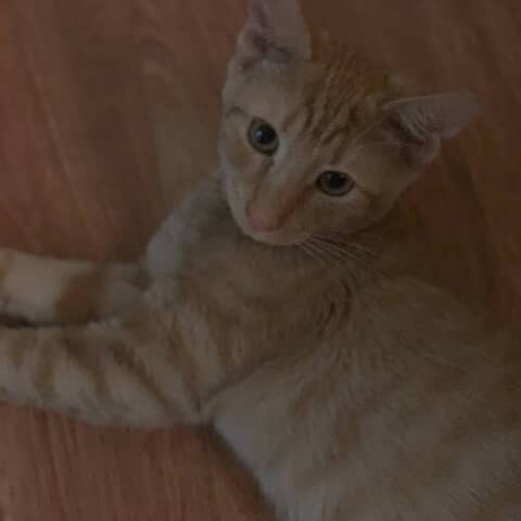 George